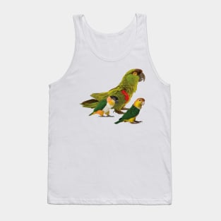 Mountain parrot and caiques Tank Top